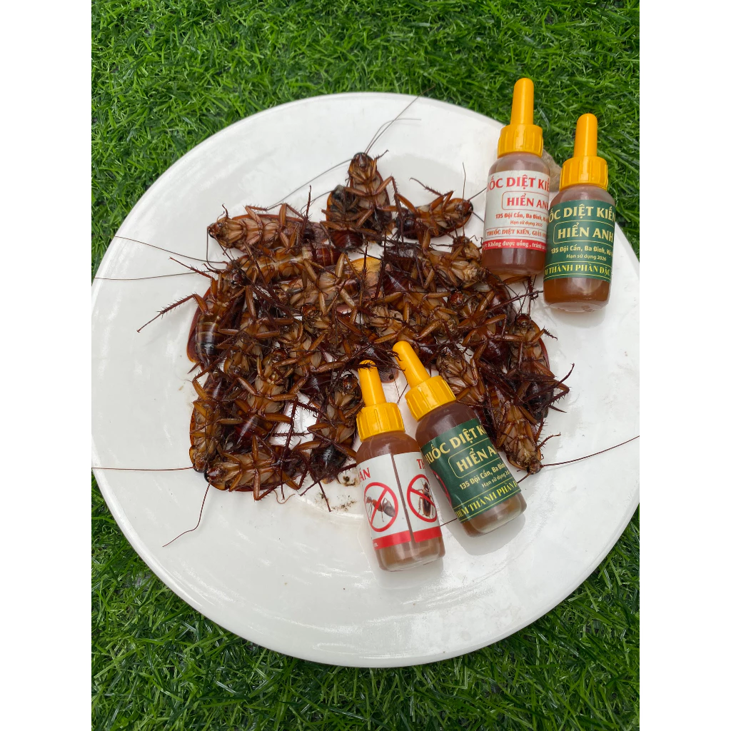 Thuốc diệt kiến gián Hiển Anh loại 10ml