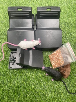 Bẫy chuột  kiểu kẹp  - HÀNG LOẠI 1